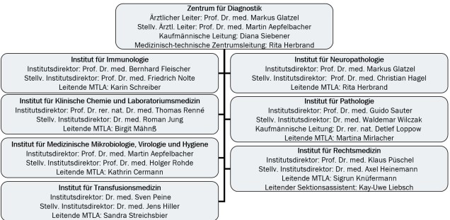 Organisation chart of the Center for Diagnostics
