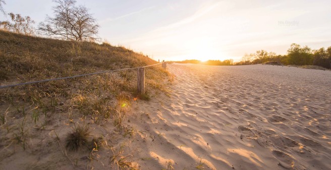 Blick auf die riesige Sandfläche der Düne, die Sonne geht auf und färbt den Sand golden
