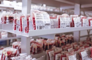 dicht an dicht stehen etikettierte Blutkonserven im einem mehrstöckigen Metallregal