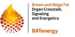 TRR333 Brown and Beige Fat – Organ Crosstalk, Signaling and Energetics (BATenergy)
