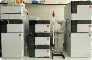 Analytical HPLC