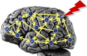 Computaional Neuroscience & Neuroinformatics