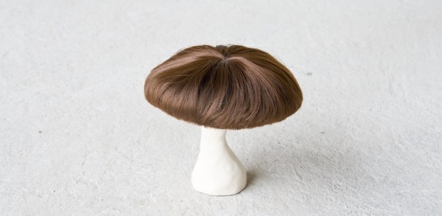 Pilz mit Kopfbehaarung vor grauem Hintergrund