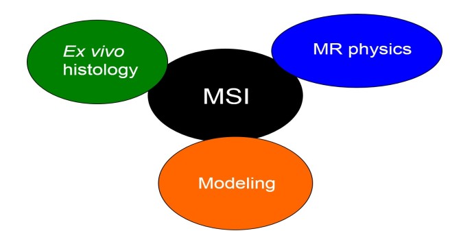 Micro Scale Imaging (MSI)