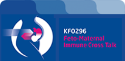 Feto-maternal immune cross talk: Individual projects