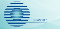 Forschungsgruppe SOMACROSS - FOR 5211