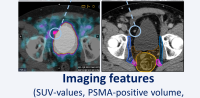 PSMA imaging features in oligorecurrent prostate cancer