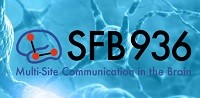 SFB936-Logo