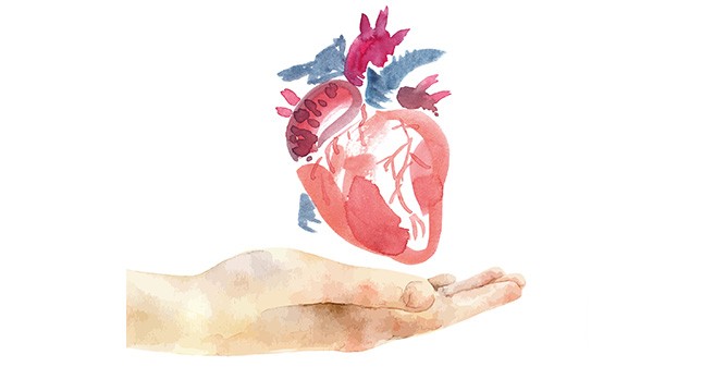 Herztransplantation am UTC im UKE