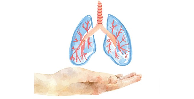 Lungentransplantation im UTC am UKE