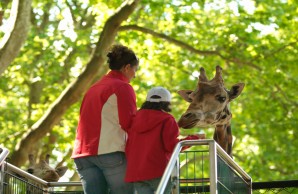 Kind und Giraffe
