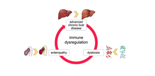 Immune dysregulation
